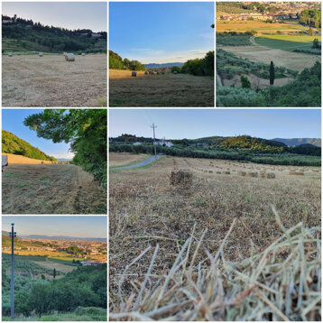 La campagna di Montemurlo, dove si trova la fattoria in cui si ritirano gli ordini