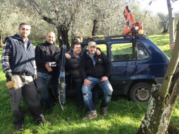 La squadra durante la raccolta delle olive negli uliveti dell’azienda